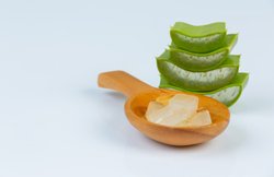 सफेद बालों के लिए एलोवेरा हो सकता है फायदेमंद, जानिए इस्तेमाल करने का तरीका