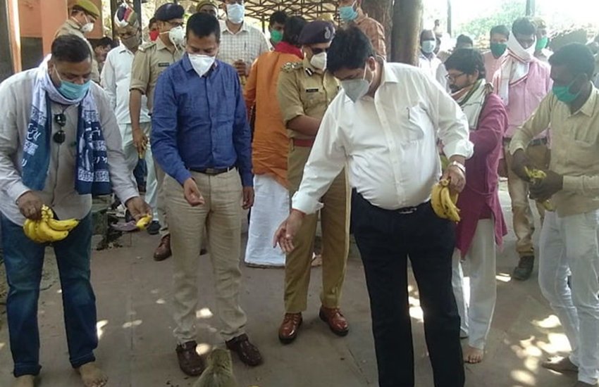 bajrangbali mandir dig police distrbute bananas to monkey 850