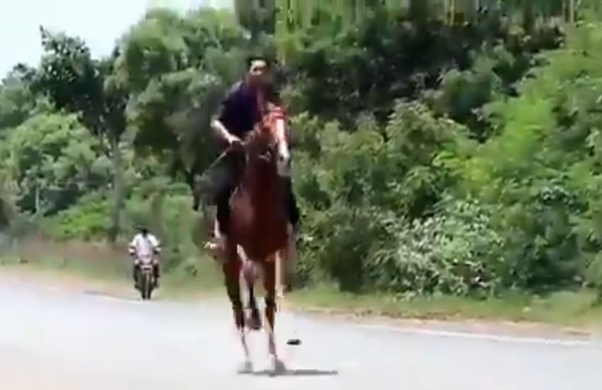 crime, crime news, coronavirus crime, crime news, coronavirus