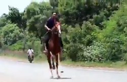 VIDEO: लॉकडाउन के बीच BJP विधायक के बेटे ने हाईवे पर दौड़ाया घोड़ा, अधिकारियों ने कहा – जारी है जांच