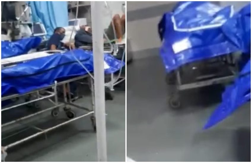 crime, crime news, coronavrius crime, crime news, coronavrius