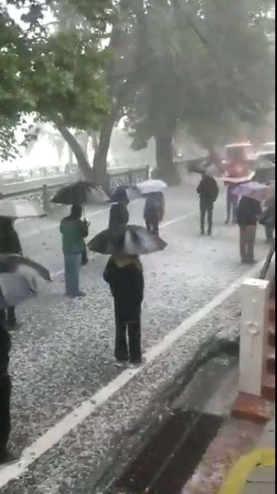 नैनीताल, हल्द्वानी सहित कुमाओ के सभी जिलों में शराब की दुकानें खुली रहीं। क्षेत्रों में तेज बारिश भी हुई फिर भी लोग लाइनों में डटे रहे और बोतलें लेकर ही वापस लौटे।