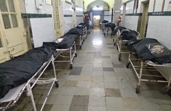 Coronavirus, (Covid-19) Lockdown 4.0: मुंबई के KEM हॉस्‍पिटल की गैलरी में लाशों की कतार, वायरल हो रहा वीडियो