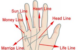 palmistry, hand line prediction, career hand line, hasth rekha, life line, astrology, astro, future prediction, career prediction,