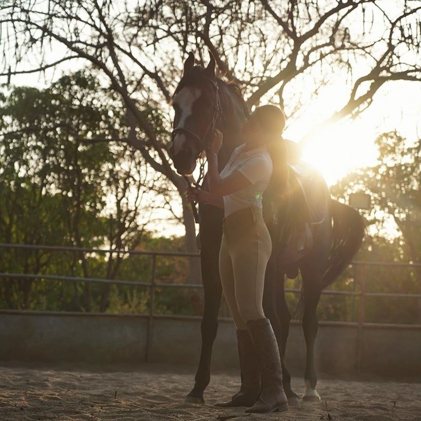 जैकलीन लगभग रोजाना सोशल मीडिया में अपनी तस्वीरें औऱ वीडियोज फैंस के साथ शेयर कर रही हैं।