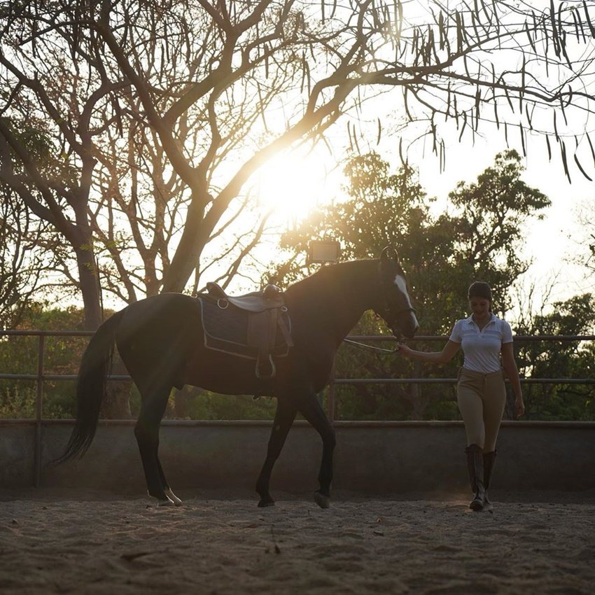बता दें कि जैकलीन लॉकडाउन के इन दिनों में सलमान खान के साथ उनके फॉर्महाउस पर ही हैं।