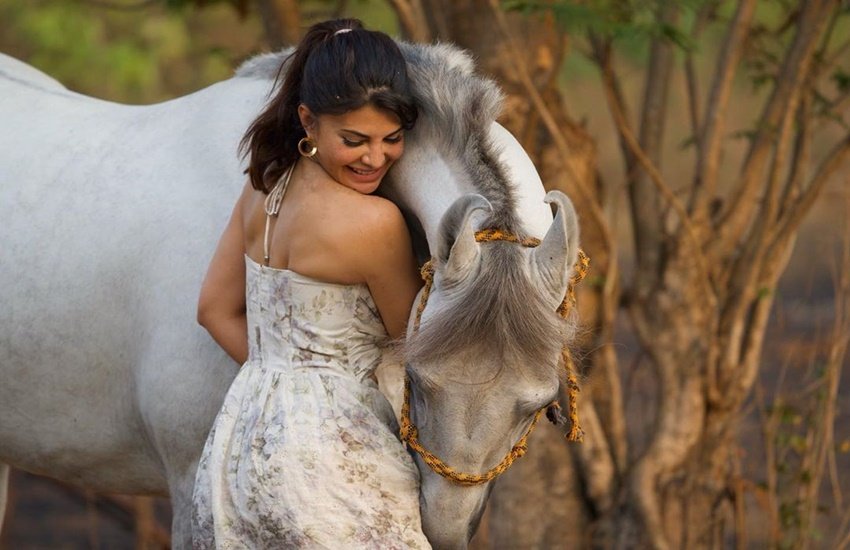 देशव्यापी लॉकडाउन के कारण फिल्म इंडस्ट्री बंद पड़ी है। पिछले करीब डेढ़ महीने से ज्यादा समय से फिल्मों की शूटिंग समेत तमाम काम ठप्प पड़े हैं। इस कारण फिल्मी सितारों को काम से थोड़ी छुट्टी मिली है। कई फिल्मी कलाकार ऐसे हैं जो फुरसत के इन दिनों पर सोशल मीडिया में काफी एक्टिव हो गए हैं। जैकलीन फर्नांडीज भी उन्हीं में से एक हैं। (All Photos: Jacquelline Fernandes)