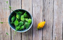 White Hair, White Hair Problems, White Hair in hindi, bitter gourd juice for white hair, karela for white hair, white hair remedies, white hair remedies in hindi, white hair home remedies, white hair treatment, white hair cause, white hair reason