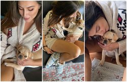 ‘मुझे भी अपना पालतू बना लो, गुलामी करूंगा’, डॉगी संग फोटो पोस्ट करने पर ट्रोल हुईं आईपीएल की एंकर