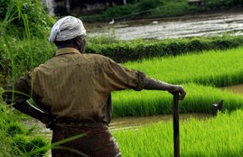 kisan credit card
