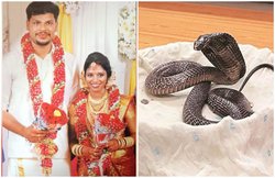कोरोना से पहले पति ही बन गया काल! साजिश रच सांप से डंसा पत्नी को मरवाया, भंडाफोड़ होने पर गिरफ्तार
