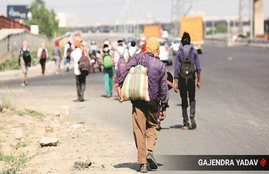 COVID-19, Coronavirus, Migrant Labour