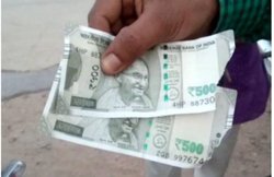 क्या आप किसी भी बैंक में बदल सकते हैं फटा हुआ नोट? जानें क्या कहता है RBI का नियम