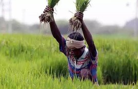 pm fasal bima yojana