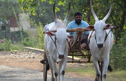 पीएम किसान योजना के तहत सालाना 6,000 रुपये के अलावा मिलते हैं ये 3 फायदे, जानें- कैसे ले सकते हैं लाभ