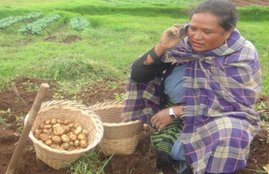 pm kisan yojana