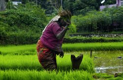 जल्द 10 करोड़ किसानों के खातों में आने वाली है पीएम किसान सम्मान निधि योजना की छठी किस्त, चेक करें आपका नाम है या नहीं