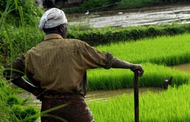 pm kisan yojana