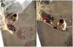 लॉकडाउन में यूपी पुलिस की बेरहमी, ऑन कैमरा विक्षिप्त पर बरसाईं ताबड़तोड़ लाठियां, वीडियो वायरल हुआ तो सस्पेंड