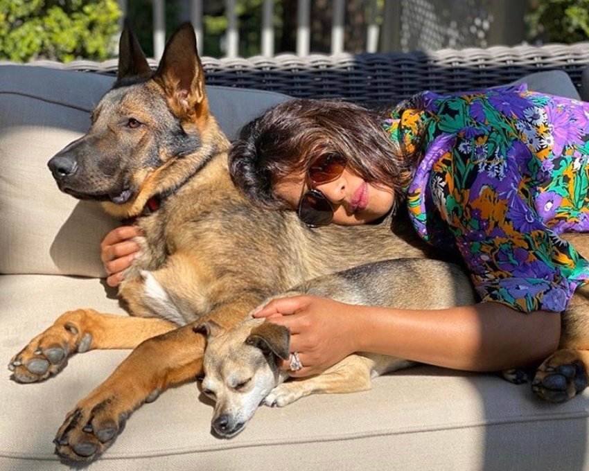 (All Photos: Priyanka Chopra Instagram & Social media)