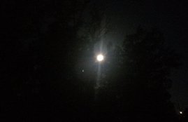 super flower moon, super flower moon 2020, super flower moon live, super flower moon date, super flower moon may, super flower moon may 2020, super flower moon today timing, super flower moon india, super flower moon live in india, super flower moon today timings in india, super flower moon live streaming, super flower moon time, super flower moon 2020 time, super flower moon how to watch, super flower full moon