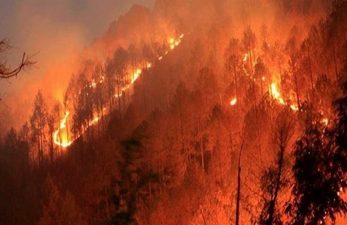 उत्तराखंड के जंगलों में भयानक आग, करीब 71 हेक्टेयर जमीन पूरी तरह से बर्बाद