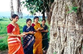 Vat Savitri puja 2020, Vat Savitri vrat 2020 in bihar, Vat Savitri vrat katha, वट सावित्री व्रत 2020, Vat Savitri vrat katha, Vat Savitri vrat significance,