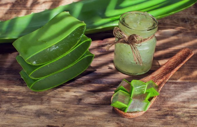 Skin Care: स्किन में निखार लाने के लिए रात को सोने से पहले चेहरे पर लगाएं एलोवेरा जेल, जानिये इस्तेमाल का तरीका