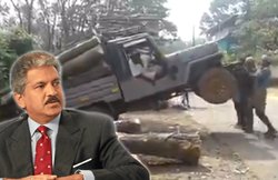 लोगों ने लगाया देसी जुगाड़ और हाथों से उठा दी लकड़ियों से भरी जीप! VIDEO देख हैरान हुए आनंद महिंद्रा और कहा असुरक्षित है यह तरीका