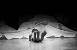 व्यंग्य: एक सुअर के बच्चे की सद्गति