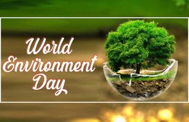 world environment day, world environment day theme, world environment day 2020 theme, world environment day 2020 slogans, world environment day theme and slogans, world environment day poster, world environment day quotes, happy world environment day, happy world environment day 2020, world environment day messages, world environment day wallpapers, world environment day pictures, world environment day, happy environment day status, happy environment day status, happy environment day hd images