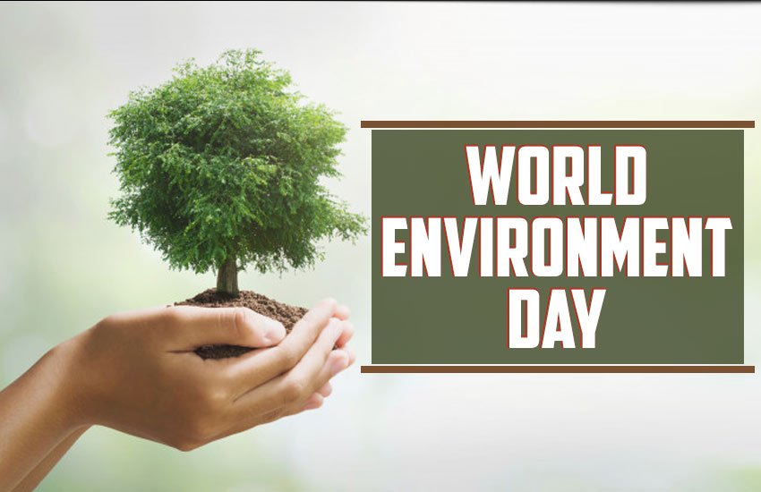 world environment day, world environment day theme, world environment day 2020 theme, world environment day 2020 slogans, world environment day theme, and slogans, world environment day poster, environment day, environment day, environment day 2020, environment day history, environment day theme, environment day slogans