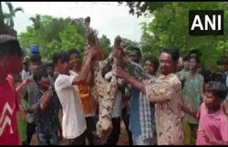 अब गुवाहाटी में जानवर से हैवानियत! हत्या के बाद दांत और नाखून निकाल लिए, 6 गिरफ्तार