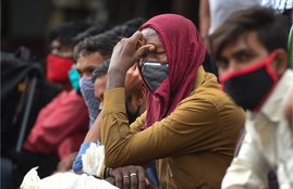 Migrants, SC, Companies, Salary