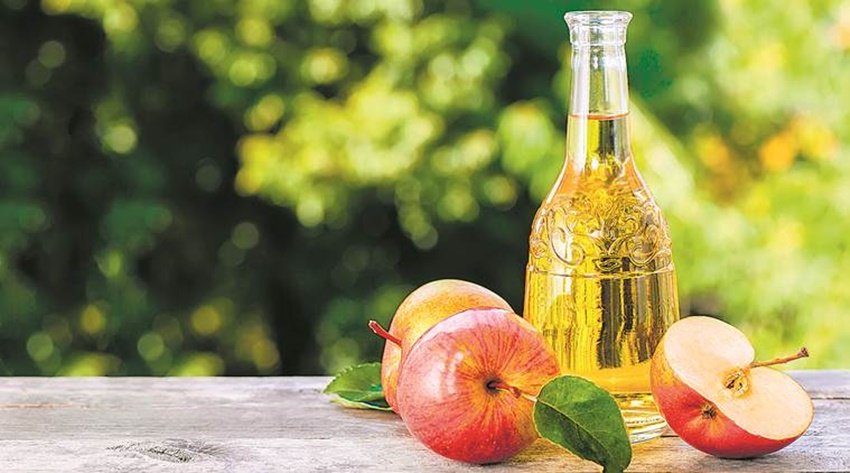 सेब का सिरका एंटीऑक्सीडेंट और एंटीइंफ्लेमेंटरी गुणों से भरपूर होता है। विशेषज्ञ बताते हैं कि यह यूरिक एसिड लेवल को कंट्रोल करने में मददगार होता है।