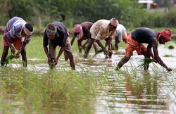पीएम किसान सम्मान निधि योजना की अटक गईं किस्तें? यूं आधार करें वेरिफाई और पाएं 6,000 रुपये सालाना