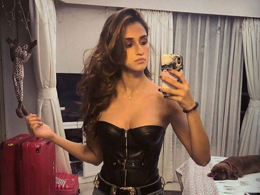 पेट्स के कराण ही उन्होंने अपने घर को पेट्स फ्रेंडली बनाया है।