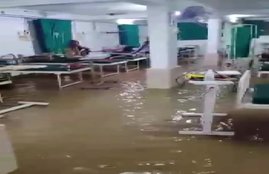 maharashtra, viral video,