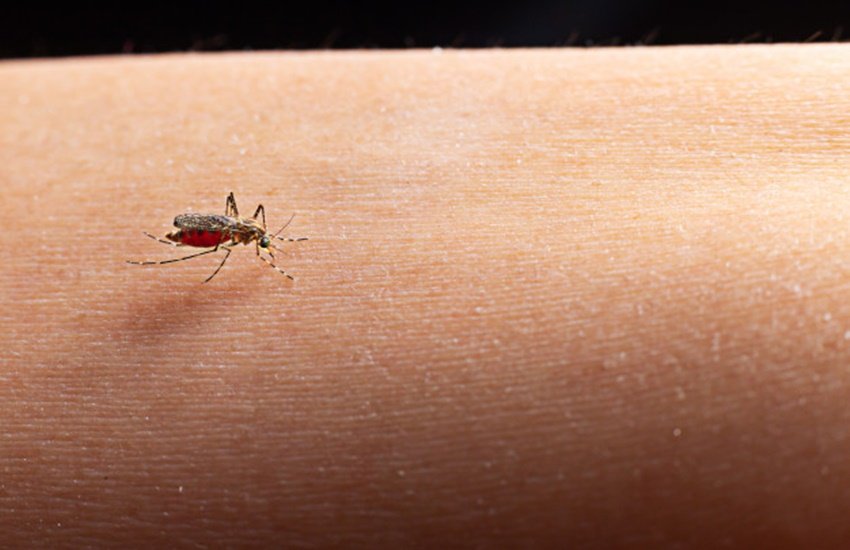 Monsoon Health Care, Malaria in rainy season, monsoon diseases prevention