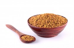 Diabetes के मरीज़ रोज़ाना सुबह खाली पेट पिये मेथी का पानी, जानिए और कैसे करें डाइट में शामिल