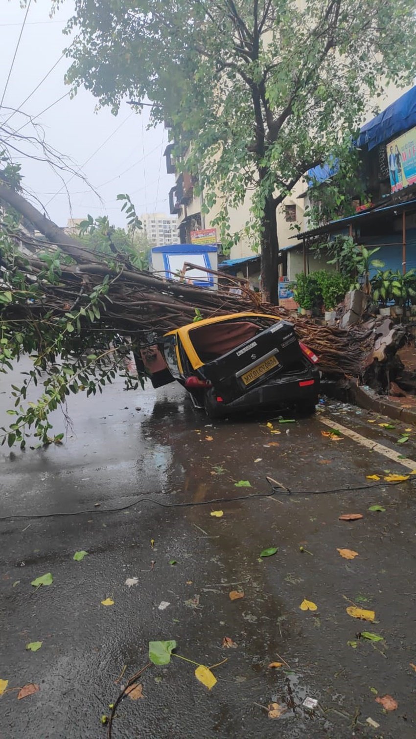इस चक्रवात के कारण जनजीवन पर बुरा असर पड़ा है। सड़क किनारे खड़ी गाड़ियों पर पेड़ गिर गए।