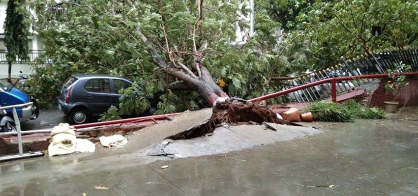 निसर्ग चक्रवात से तबाही की तमाम डरावनी तस्वीरें मीडिया से लेकर सोशल मीडिया तक में सामने आई हैं।