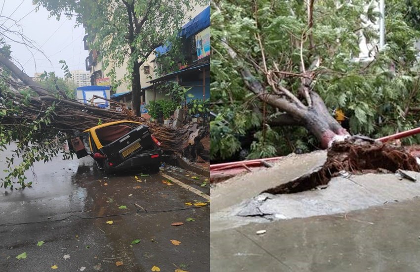 Nisarga Cyclone: कोरोना संक्रमण की मार झेल रहे महाराष्ट्र में अब निसर्ग तूफान ने तबाही मचानी शुरू कर दी है। बुधवार तीन जून को निसर्ग तूफान ने महाराष्ट्र के तटीय इलाकों में अपना तांडव दिखाया।