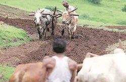 हजारों लाभार्थियों की पीएम किसान सम्मान निधि की किस्तें बैंक खाते में बदलाव के चलते अटकीं, जानें- कैसे कर सकते हैं सुधार