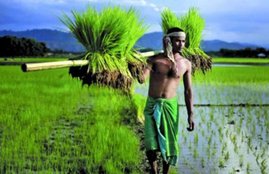 pm kisan samman nidhi