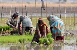 PM Fasal Bima Yojana का फायदा उठाने लिए अब सिर्फ दो दिन का समय बाकी, ऐसे करें अप्लाई