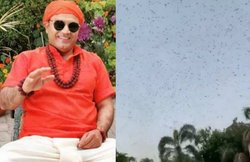 VIDEO: ‘मुल्तान के सुल्तान’ के घर पहुंचा टिड्डी दल, लोगों ने कहा- ये पाकिस्तान की करतूत