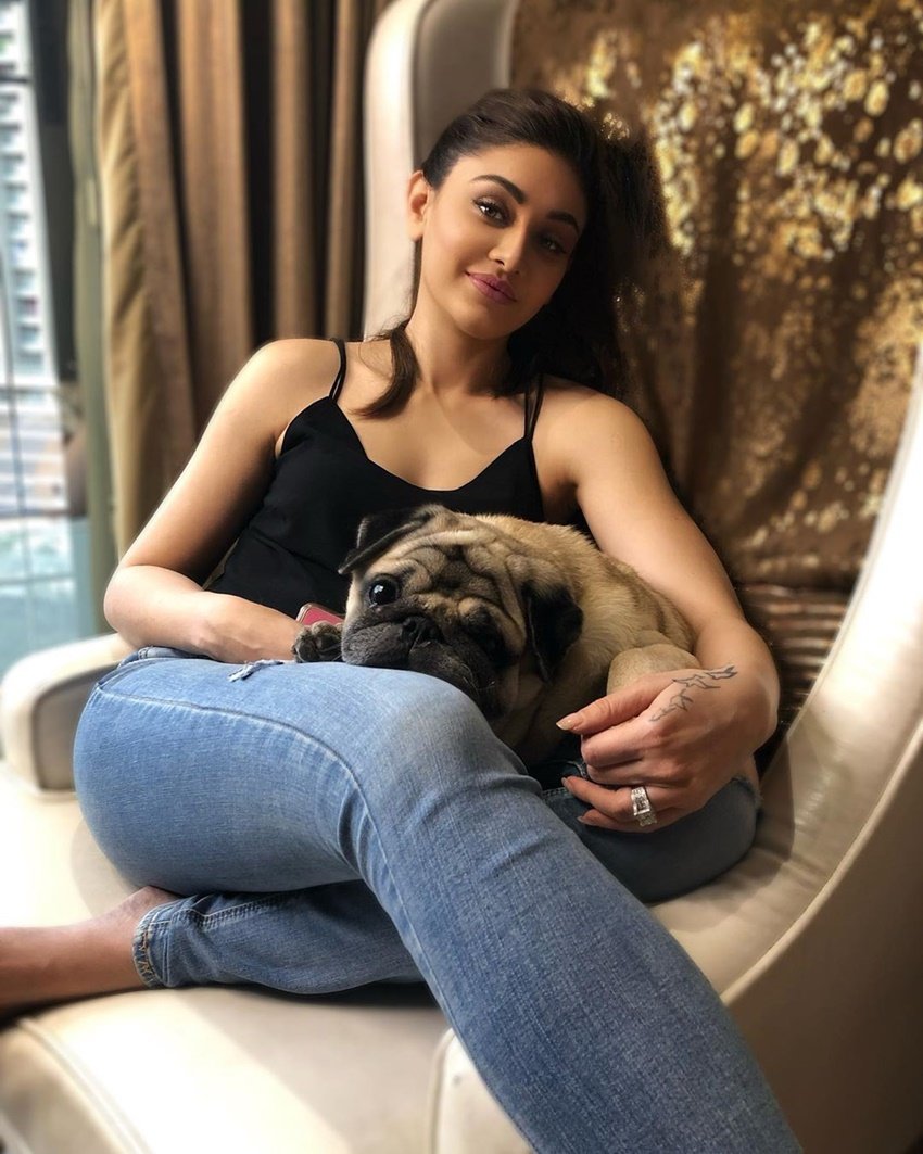 शेफाली अब एक्ट्रेस बन चुकी हैं। शेफाली कलर्स टीवी के रियालिटी शो बिग बॉस में भी नजर आ चुकी हैं।