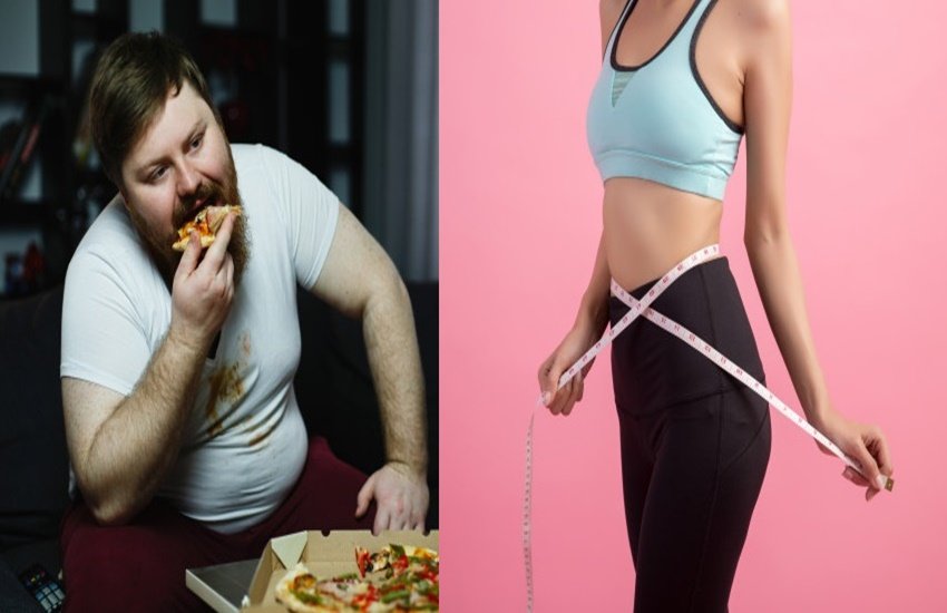 Weight Loss, Weight Loss tips, weight loss diet, weight loss drinks, weight loss diet plan, weight loss foods, weight loss shakes, weight loss fruits, weight loss foods in hindi, weight loss food chart, weight loss fruits in hindi, weight loss food plan