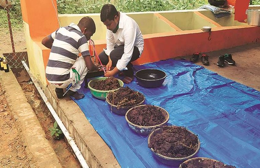 chhattisgarh scheme for livestock owners
